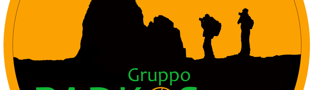 logo-arancio-gruppo